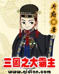 三国之大霸主小说