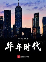 小说:华年时代