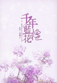 蓝花楹12公分价格