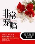 总裁非常宠婚 小说