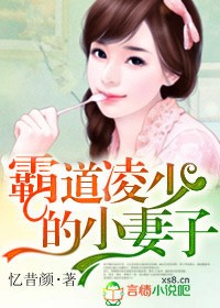 霸道总裁小娇妻小说