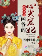 锦绣清宫:四爷的心尖宠妃epub