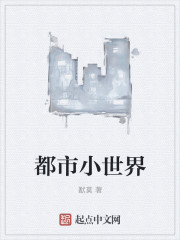 都市小世界TXT