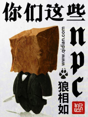 你们这些npc 百度百科